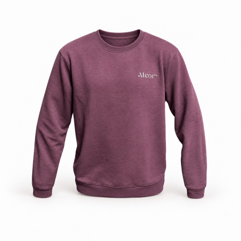 Purple Alcor crewneck sweatshirt